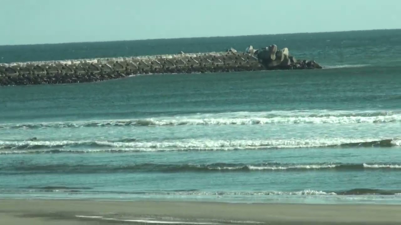 波動画20260219 - YouTube