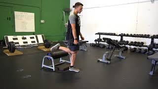 Celebrity RFE Split Squat 1 DB Profile