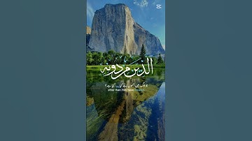 al Quran #عبدالرحمن_مسعد_تلاوة_جديدة #المصحف #اكسبلور #lovemusic #lifeisbutadream #whowillbemylifep