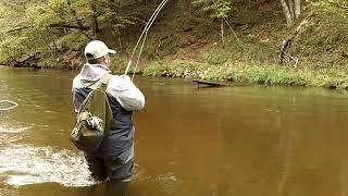Pere Marquette River Baldwin Michigan Fly Fishing