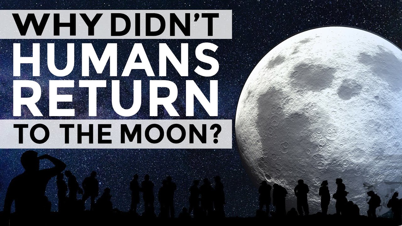 фелисити джонс сестра-близнец. Haven t gone. слэклайн highline. Hyperdimension neptunia rebirth 3 dlc. Haven t gone.