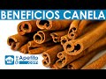 8 Propiedades y Beneficios de la Canela | QueApetito