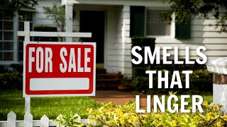 The Grossest Smells Real Estate Agents Encounter When Selling a Home