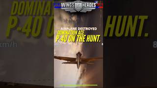 Aim Assist Is Disabled P-40 Hunting Wings Of Heroes 