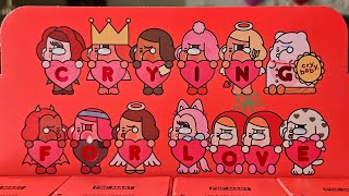 Pop Mart Crybaby Crying For Love Blind Box Case Unboxing