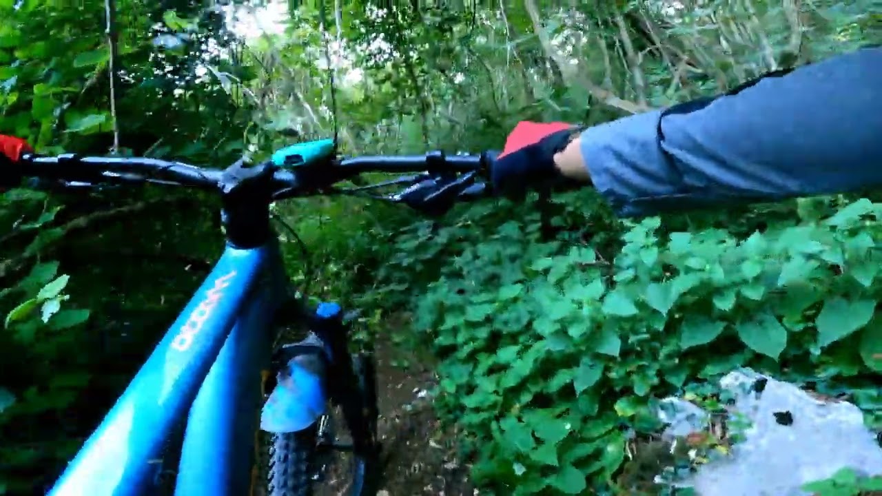 Da sotto casera Rupeit a Grizzo, Montereale Valc. MTB {INTEGRALE} 987a giallo blu 