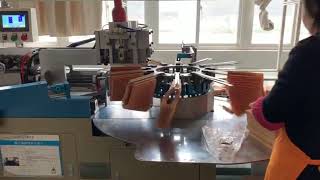 ZYJT-250-12 Full-auto Steel Clipping Machine