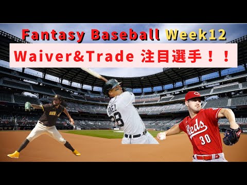 【Fantasy Baseball Week12】獲得狙いたいWaiver&Trade 注目選手(Javier Báez/Sean Manaea)#MLB #ファンタジーベースボール | Mr. White の日常＠U.S.A