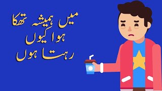 Why Am I Always Tired? Top 7 Reasons Main Hamesha Kyun Thaka Hua Huta Hun Urduhindi