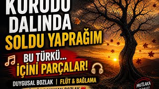 Kurudu Dalında Soldu Yaprağım 🍂 Duygusal Bozlak Ağıt (Flüt & Bağlama)