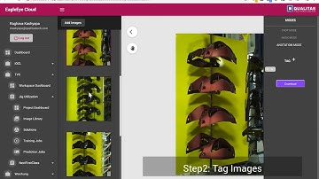 EagleEye Deep Learning Software | Class Train | AI In Industrial IOT