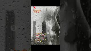 Akıyor Yağmur Gözyaşlarım Kadar Melancholic Waves - Psycelic/Analog Cover Resimi