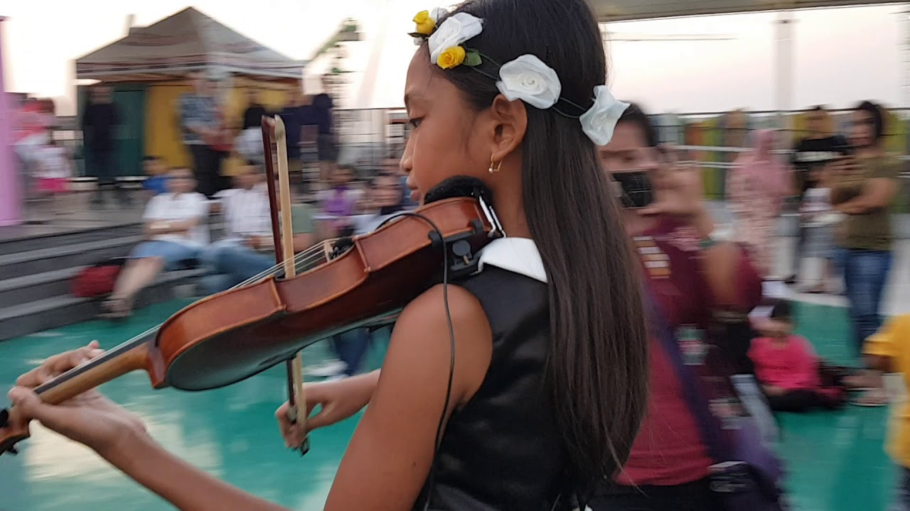 Lily violin cover by Luhgek