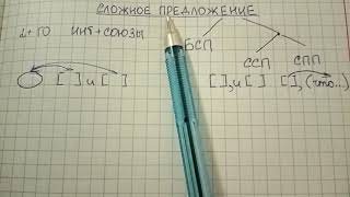 Сложное предложение – что это такое, как легко его отличить от простого