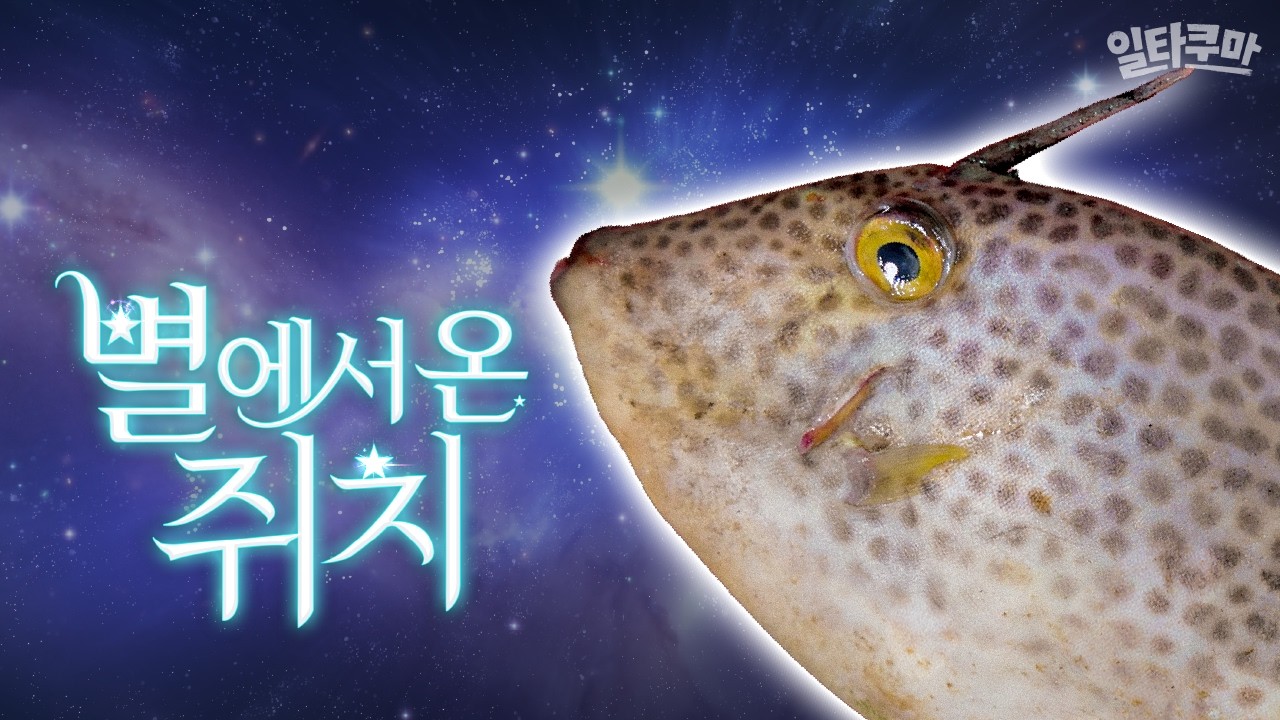 이름만큼 맛도 예쁜 녀석
