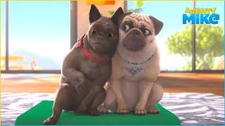 two pug friends | Mighty Mike | 45' Compilation | Cartoon for Kids