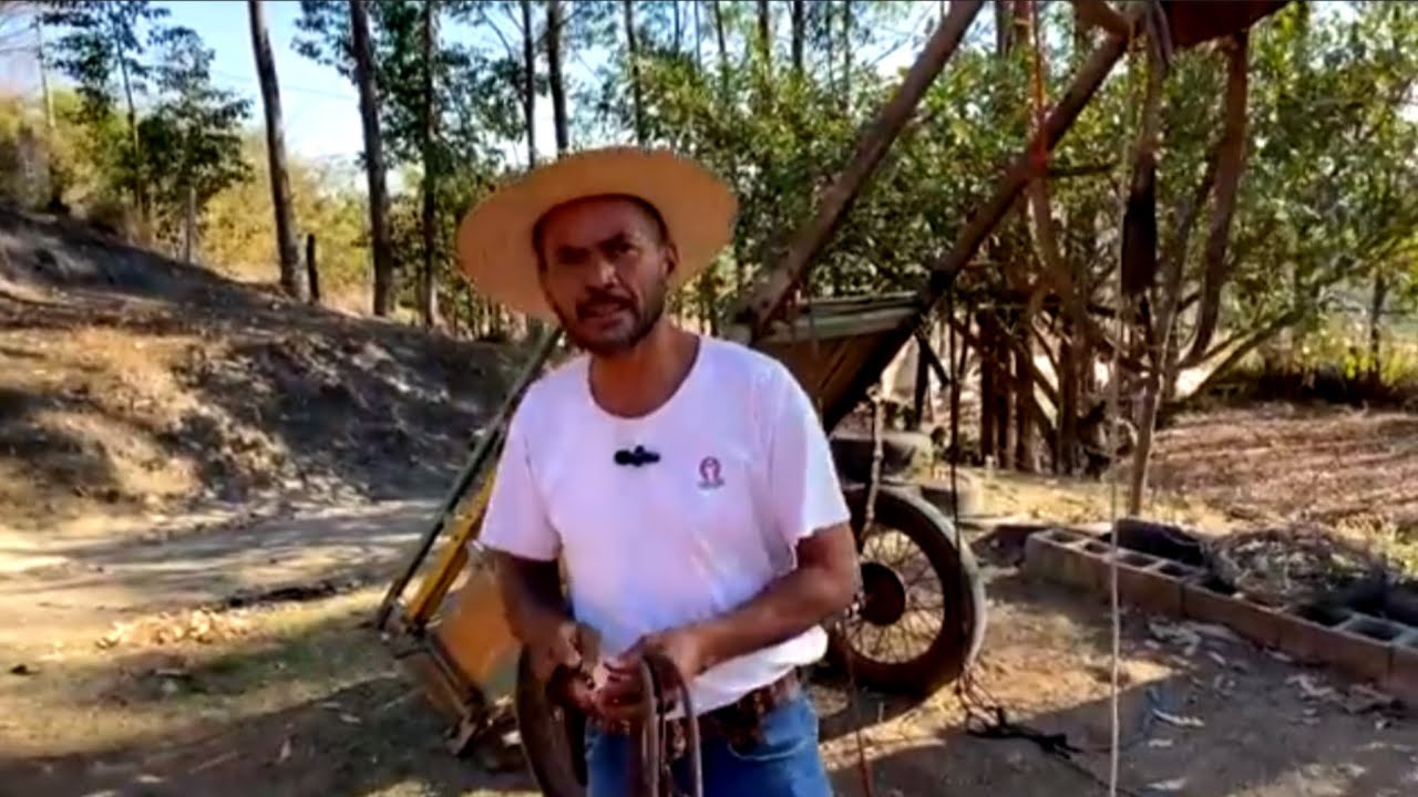 NASCIDO E CRIADO NA ROÇA 