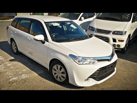 Купил ништяки для Toyota Corolla Fielder и Отправил владельцу!