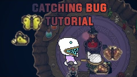 Graal Online Classic | Catching Bug Tutorial | How to catch a bug!
