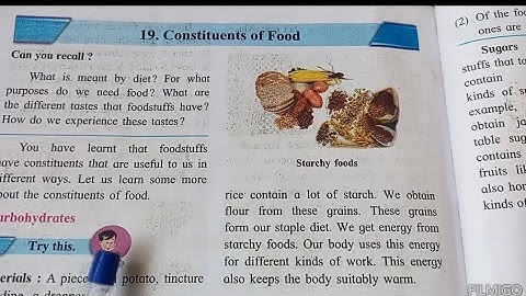 5 th EVS-1# 19. Constituents of Food # Explained in Marathi #English & Semi Eng medium# SSC Board#