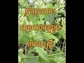 #ថ្នាំព្យាបាលសុខភាពបន្តពូជបុរស/ស្រ្តី​ #voiceeffects  #food  #duet  #duet  #garden