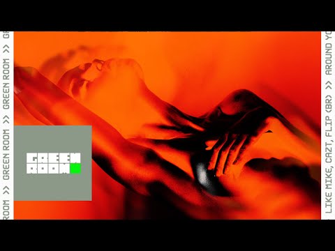 Like Mike, Cazt, Flip (BR) - Around You (Visualizer)