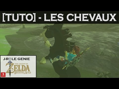 Vidéo: Zelda: Breath Of The Wild Horse - Comment Apprivoiser Un Cheval, Utiliser Des écuries Et Obtenir Epona