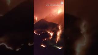 #韓国 の #山火事 被害が深刻　死者22人に　収束見通せず #毎日新聞 #shorts