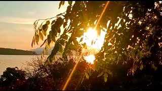 CINEMATIC pagi hari#cinematicvideo #cinematicalam #storywa #cinematic #story #storywa30detik