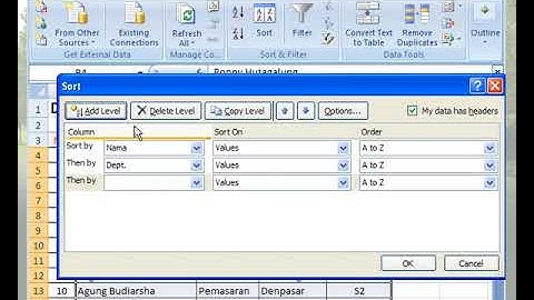 Excel 2007 - Menggunakan Data dan Filter Data