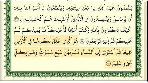 سورة البقرة كاملة مكتوبة ايمن رشدي سويد HD360p