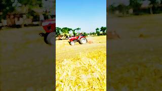 Eicher Prima 551 Tractor Demo 🚜 | Powerful Engine &amp; Performance Test 🔥 #farming #shorts #video