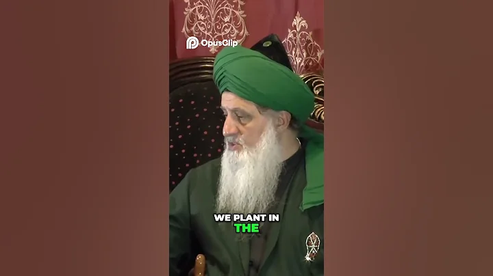 Transforming Your Potential: From Seed to Purpose | By Shaikh Nurjan Mirahmadi