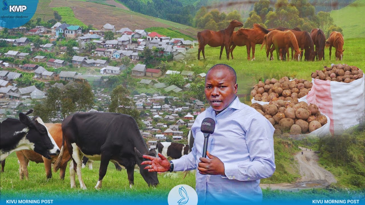 MUSHAKI -MASISI APRÈS LA GUERRE FARDC-M23 : LES DÉPLACÉS REVIENNENT, LA PAIX RESTE FRAGILE