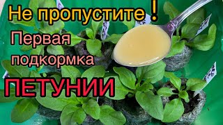 ГЛАВНАЯ ПОДКОРМКА ПЕТУНИИ ДЛЯ МОЩНЫХ КОРНЕЙ!