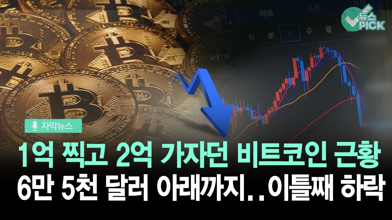 [자막뉴스] 하락 폭 커지는 비트코인… 6만5천 달러도 하회
