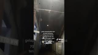 suaramu merdu #fyp #shorts #koil #musikrock