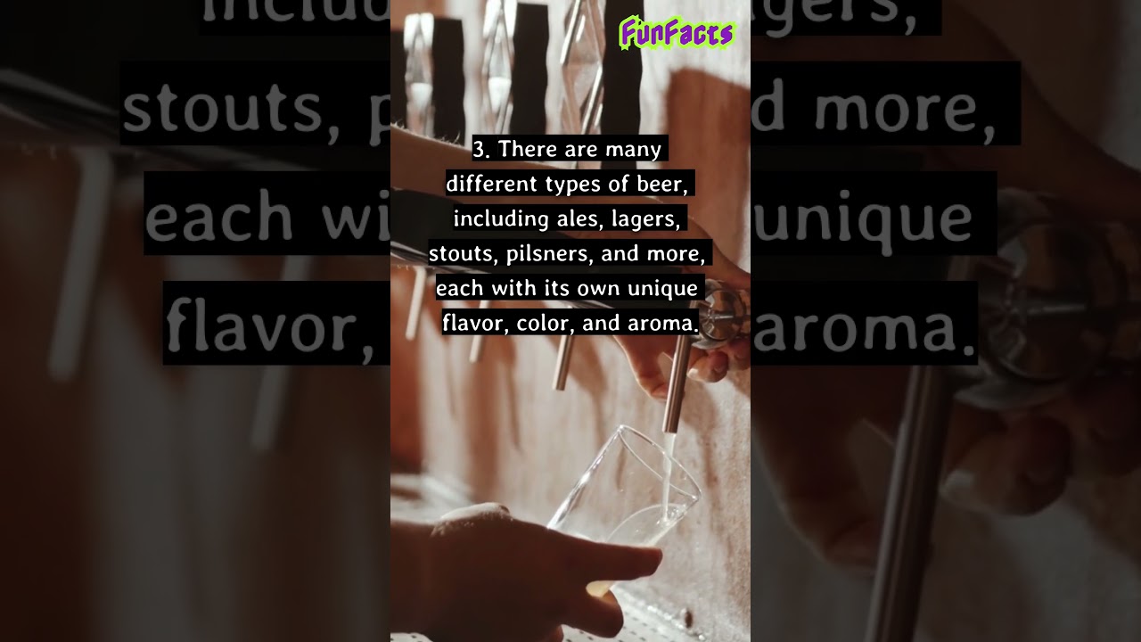 7 Fun Facts About Beer 😋🍺