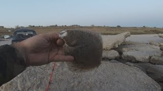 Вечерний джиг на камбалу (калкана). Бердянск. Азовское море 15 09 2020