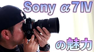 【カメラ】Sonyのα7Ⅳってどんなカメラ？どんな人が使うの？EOS R6ユーザーが感じるSonyの魅力！