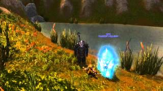 Monk - Xuen, The White Tiger