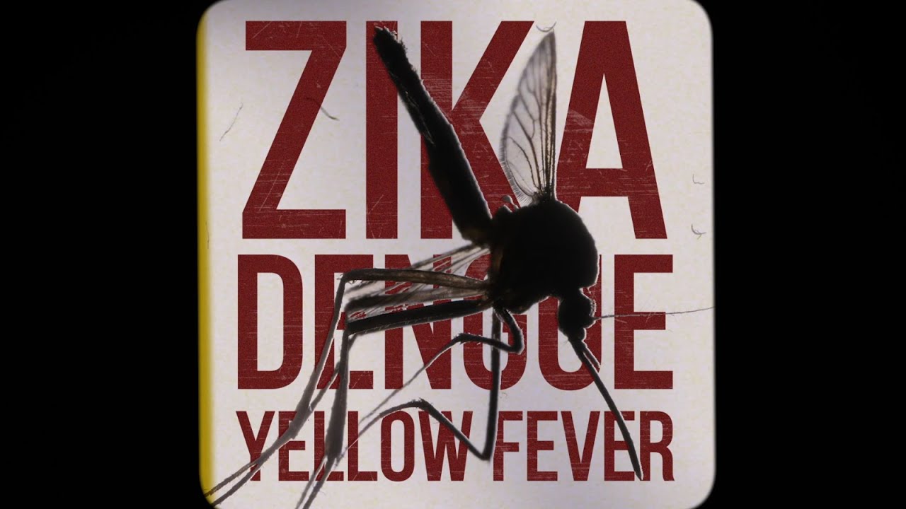 Princeton Innovation 2022: Manipulation of mosquito behavior, Lindy McBride