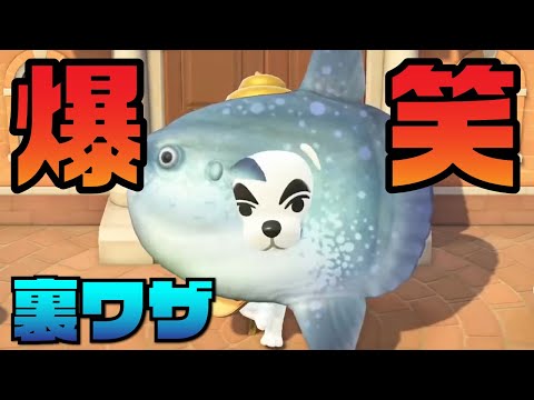 【あつ森】超笑える裏ワザ発見した