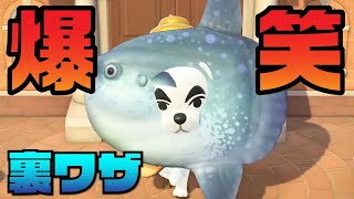 【あつ森】超笑える裏ワザ発見した