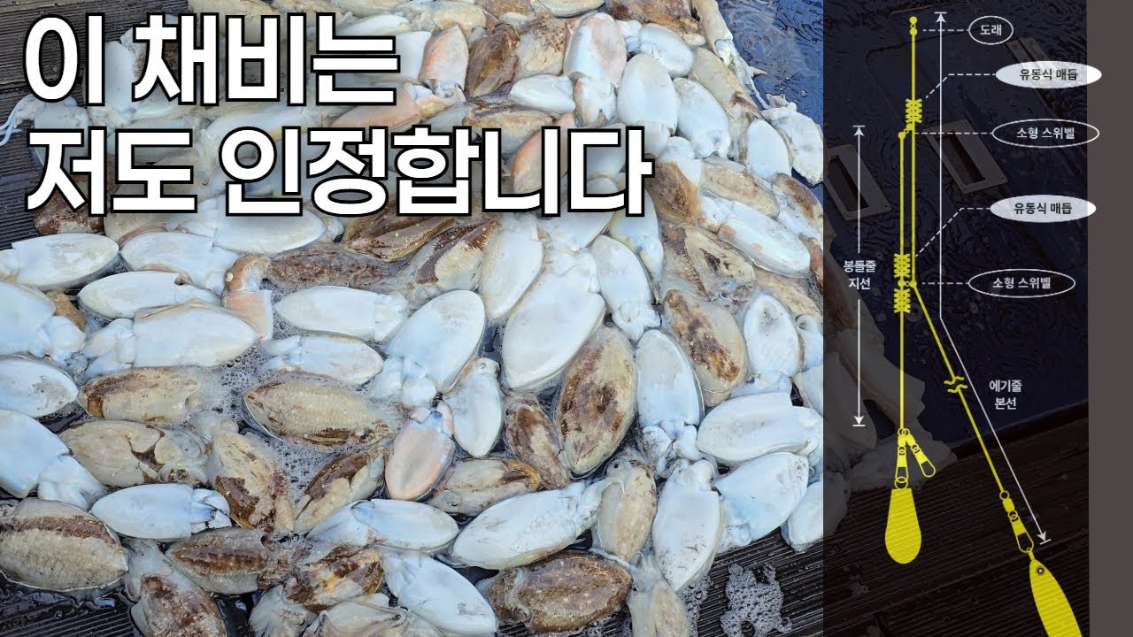 갑오징어낚시 유동식 기성채비, 이건 [혁명] 입니다. 저조차도 인정하겠습니다. #갑오징어낚시 #갑오징어채비 #갑오징어