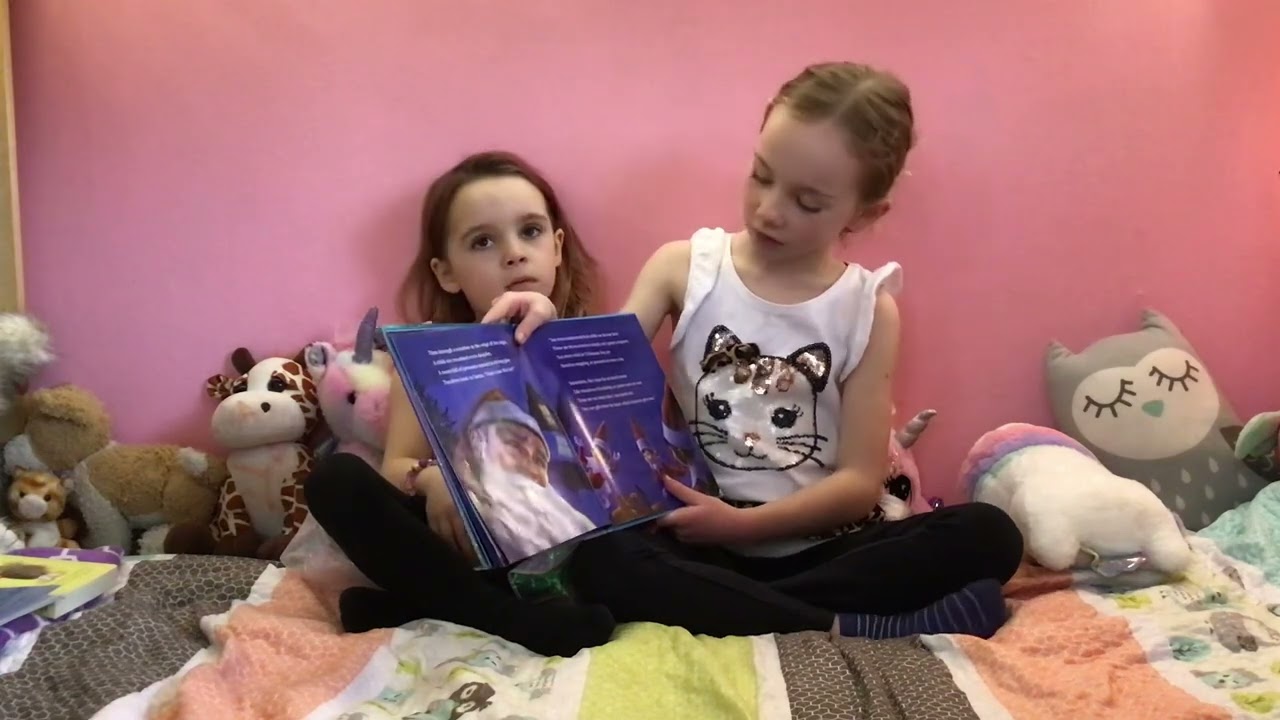 Elf Pets: An Arctic Fox Tradition  by Chanda Bell read by Aislin