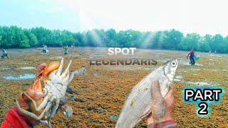 PANEN RAYA RAKYAT! Rezeki Nomplok di Tambak Legendaris selain Ikan Ada Harta Tersembunyi di Lumpur 2