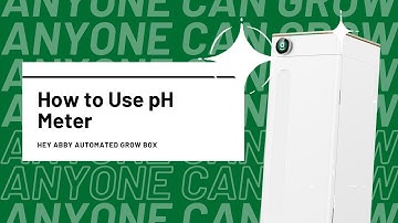 How to Use a pH Meter to Test Your Hydroponics System