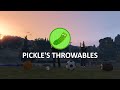 Free pickles throwables  football soccer baseball and basketball