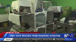 More than 100 cats rescued from hoarding situation in Cocke County